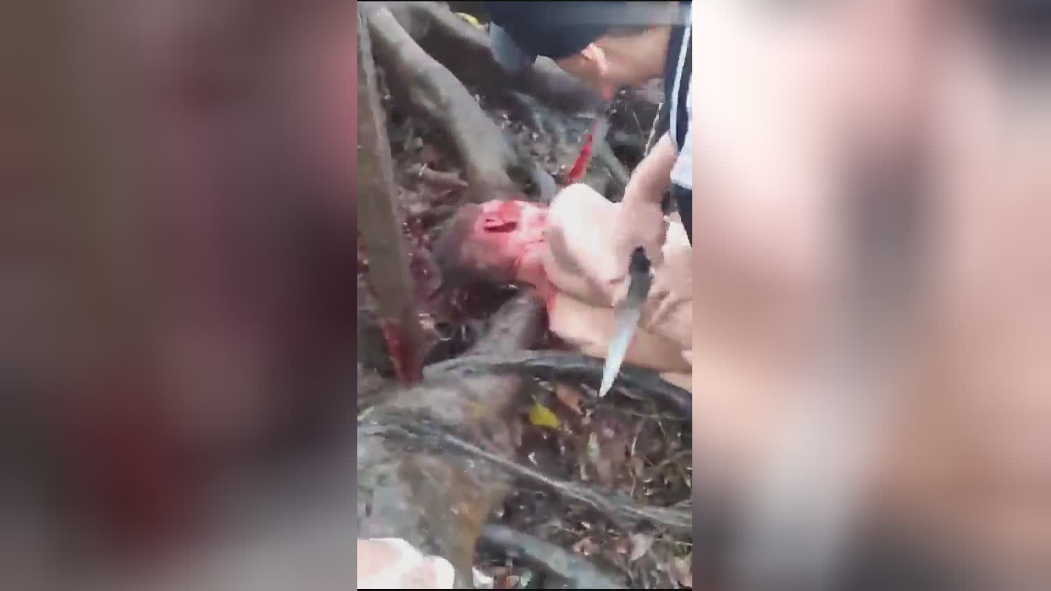 A ruthless murder and also a deception of the body