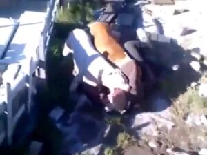 Former zambian demonstrator philemon mulala killed through dogs