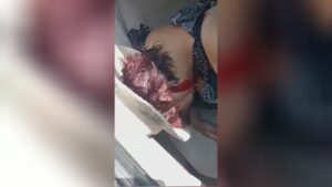 Group of sicarios shoot automobile getting rid of 6 members of a loved ones