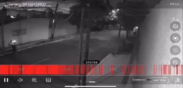Trash collector electrocuted when snatching a dangling live