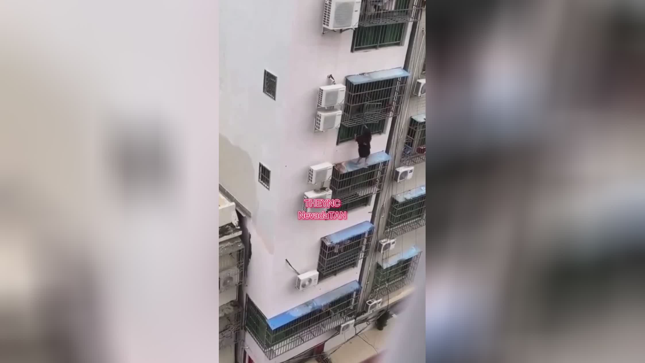 Female drops coming from home while making an effort to go up