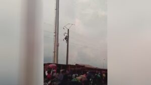 Fool climbed up an electric rod trying to get a pigeon