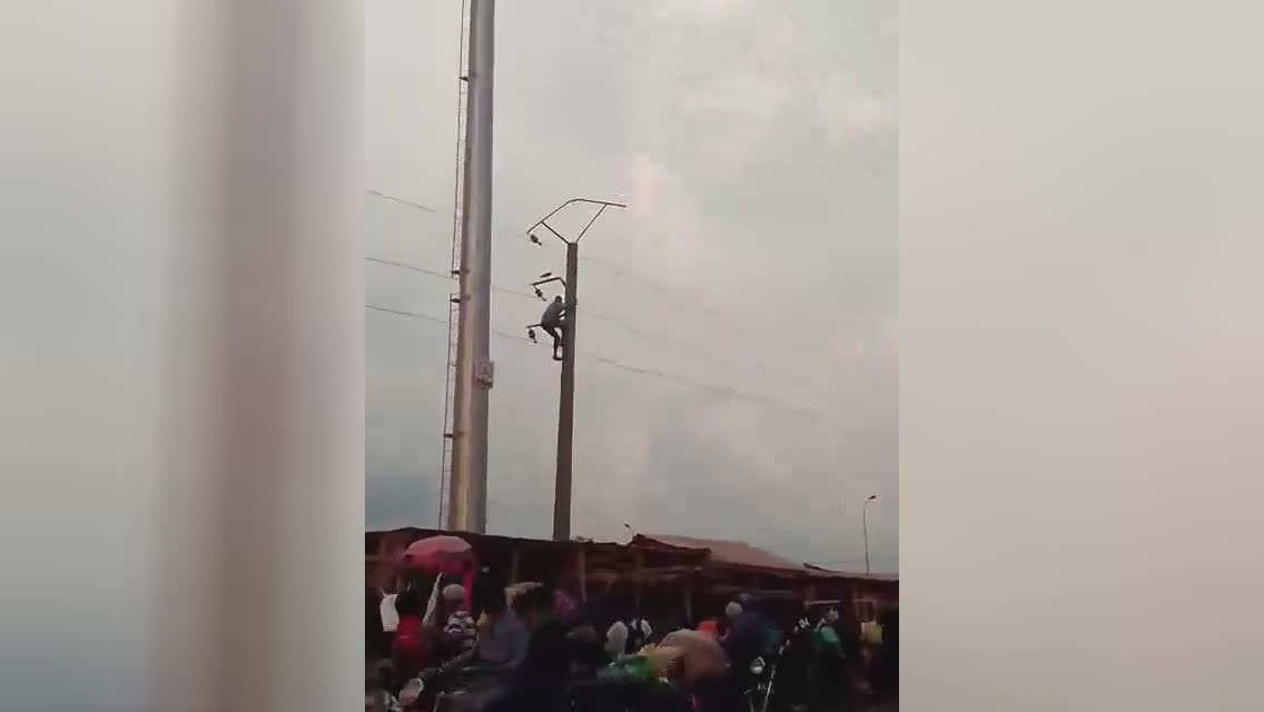 Fool climbed up an electric rod trying to get a pigeon