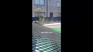 Intoxicated haitian tosses themself to fatality after firing