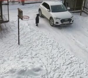 Lol hot lady without minds has epic fail