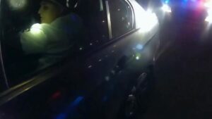 Guy dead after officer's deputy fires 12 gos into automobile