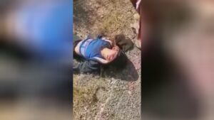15 killed when small motorist crashes vehicle