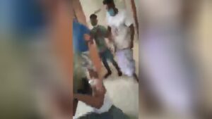 A herd of creatures beats up a medical professional considering that their family member