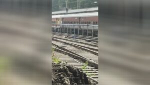 An idiot walking on the roof of a train is electrocuted