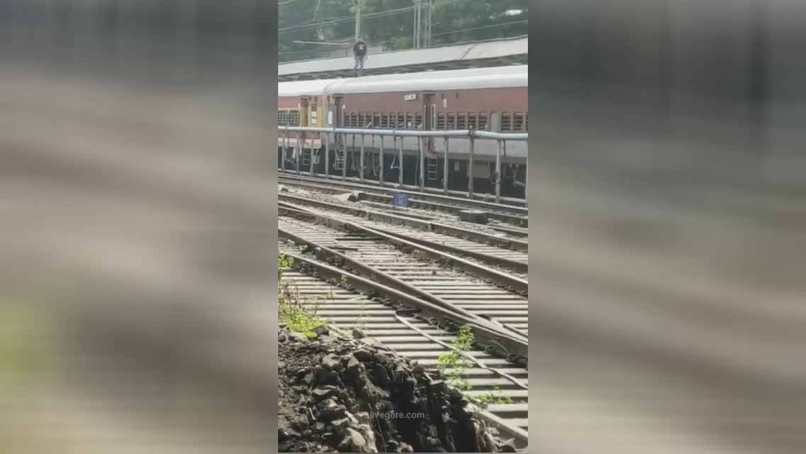 An idiot walking on the roof of a train is electrocuted