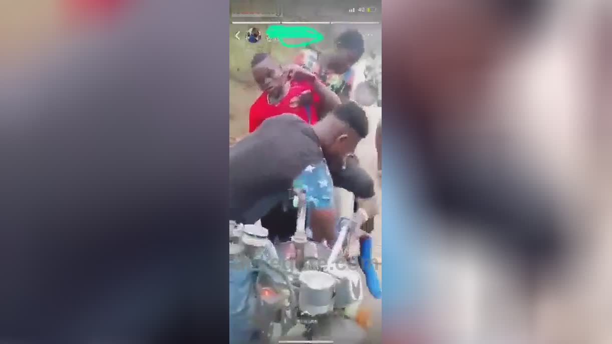 Anatomy of the play-chicken tropical toreadors