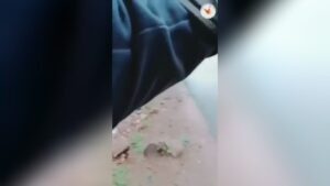 Attack on indian army car, 5 soldiers dead