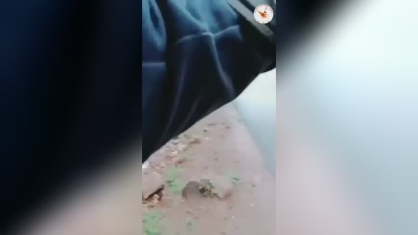 Attack on indian army car, 5 soldiers dead