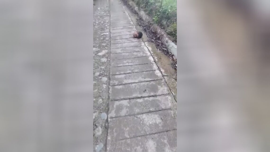 A married couple of dismembered bodies was actually found while driving