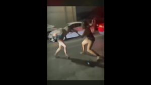 A fight in between pair of furious madness