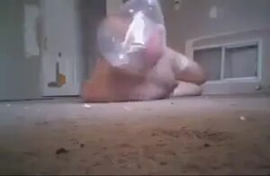 A male perishes of asphyxiation in a plastic bag