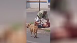 A male is actually wounded in the street during the day