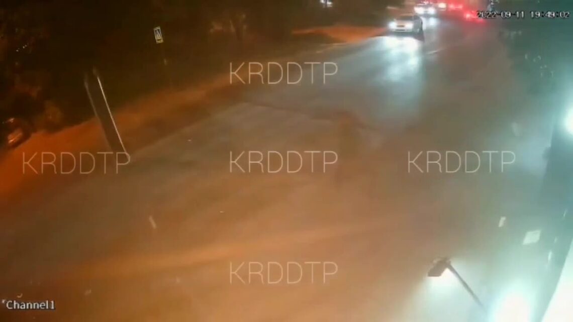 Drunk vehicle driver cuts down group of buddies