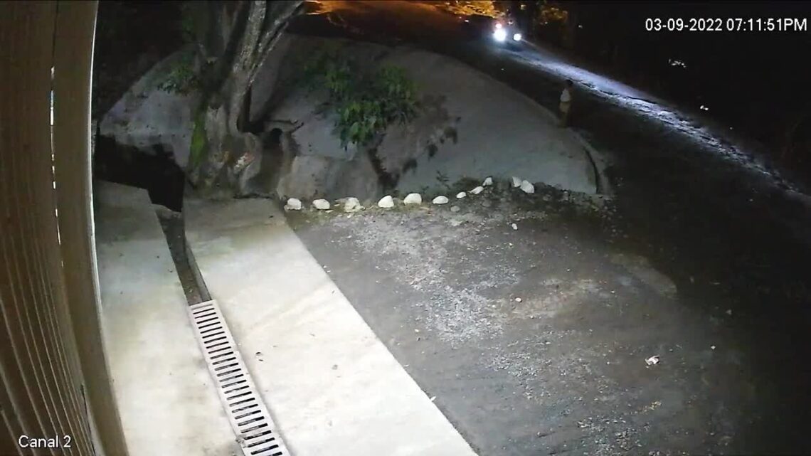 Drunk man falling into stream while dealing with his spouse