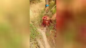 Guy gets 4 fingers cut off on his right-hand man v.