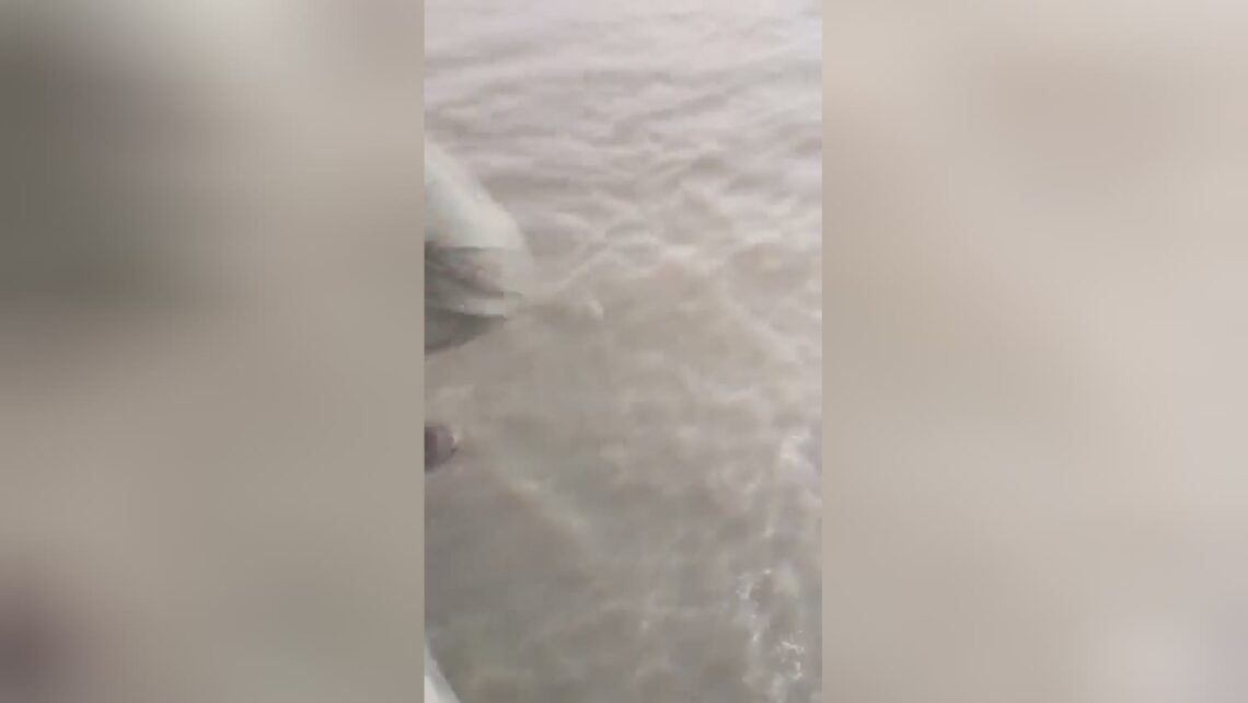 Aged man accused of robbing devotes suicide by hopping