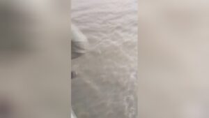 Aged man accused of robbing devotes suicide by hopping