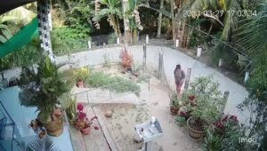 Senior girl beaten to death through next-door neighbor