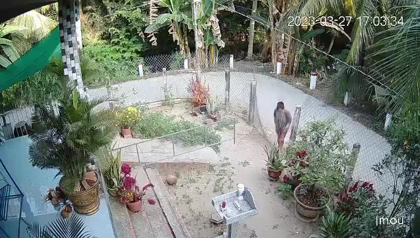 Senior girl beaten to death through next-door neighbor
