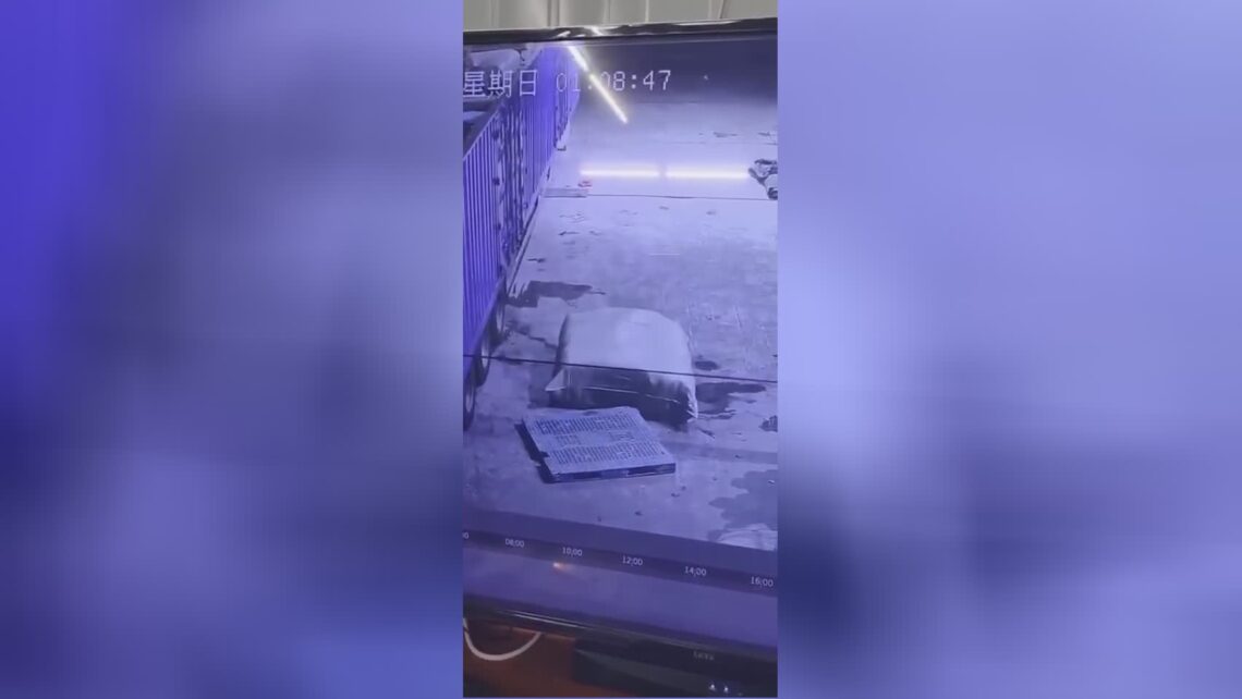 Dropping lots ends yet another life in china