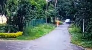 Former cleverness officer intentionally struck to death through