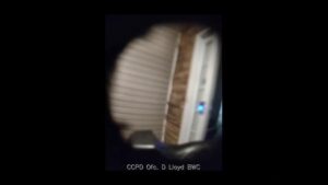 Georgia female shoots female police officer while reacting