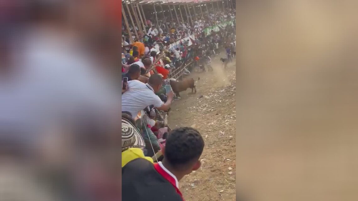 Debauch motherfucker, male dies falling in face of upward