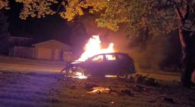 Man burns to fatality in his own vehicle after raking right into a plant