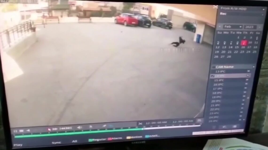 Landing of a 15-year-old gal after diving coming from a high-rise