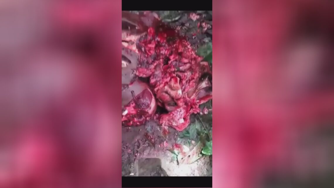 Machete transformed the man’s physical body into bloody minced meat