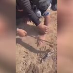 Male decrease off 4 fingers for robbing