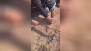 Male decrease off 4 fingers for robbing