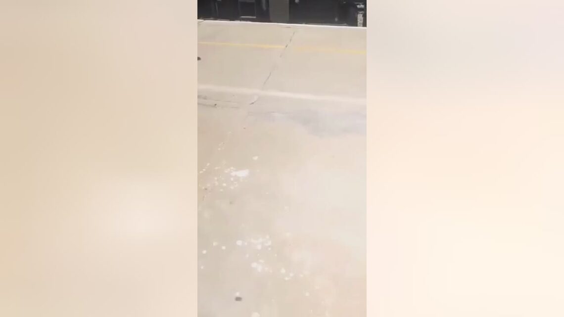 Man electrocuted on learn during the course of event