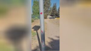 Law enforcement officer fires domestic violence suspect in chile 1 Law enforcement officer fires domestic violence suspect in chile