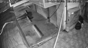 Popular press reporter try dead outdoors rapid food items dining establishment 1 Popular press reporter try dead outdoors rapid food items dining establishment