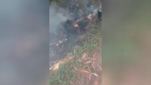 Rapist beaten & burned to death