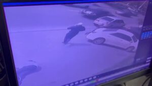 Russian business owner murdered in cold weather blood