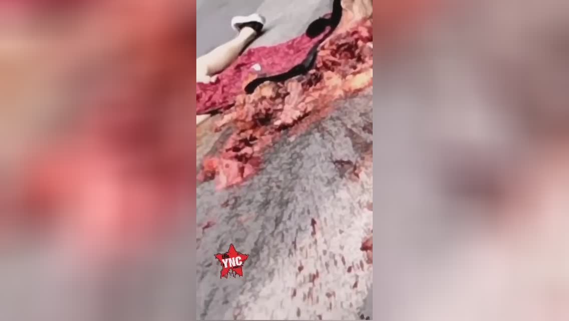 The brakes operate grandma doesn’t