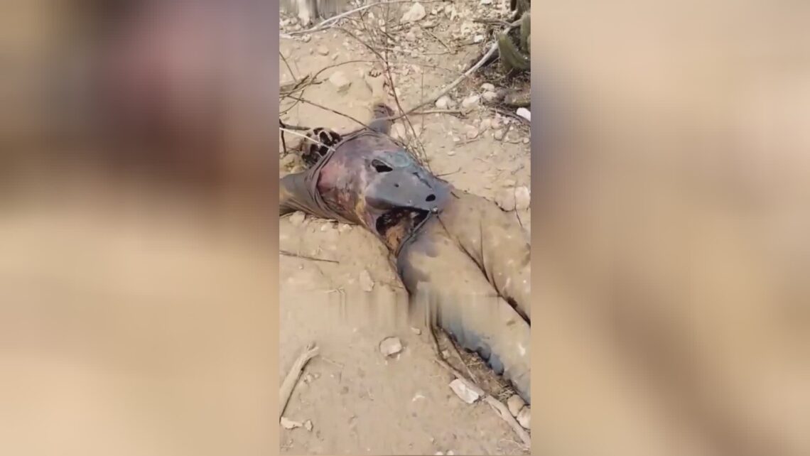 The almost totally rotten physical body of the missing taxicab driver