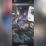 The assault on the vehicle of collectors ended poorly for the bachelor's degree