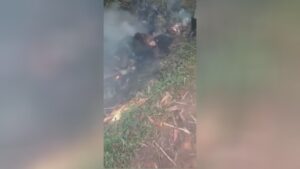 The bbq is beaten with a stick so it doesn't relocate