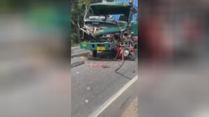 The most ideal canned sardines from china