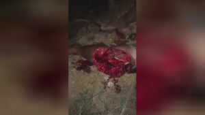 The body of a motorcyclist found that perished coming from a horrendous leg