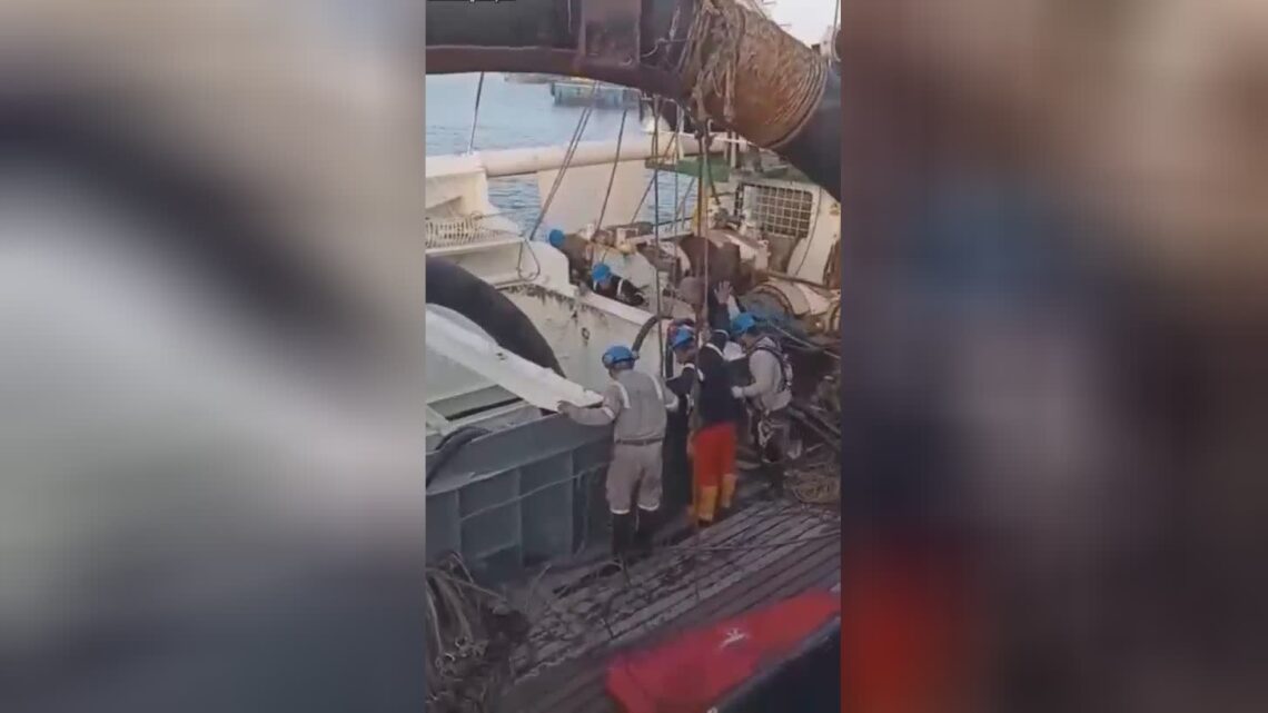 A lifeless fisher is drawn out of the keep with a crane