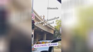 A male leapt coming from a link onto the road benefit down